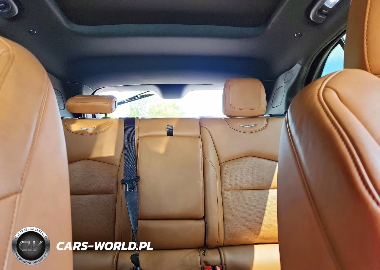 2020 Cadillac Xt4 Premium Luxury VIN:1GYFZDR4XLF005019 - 10