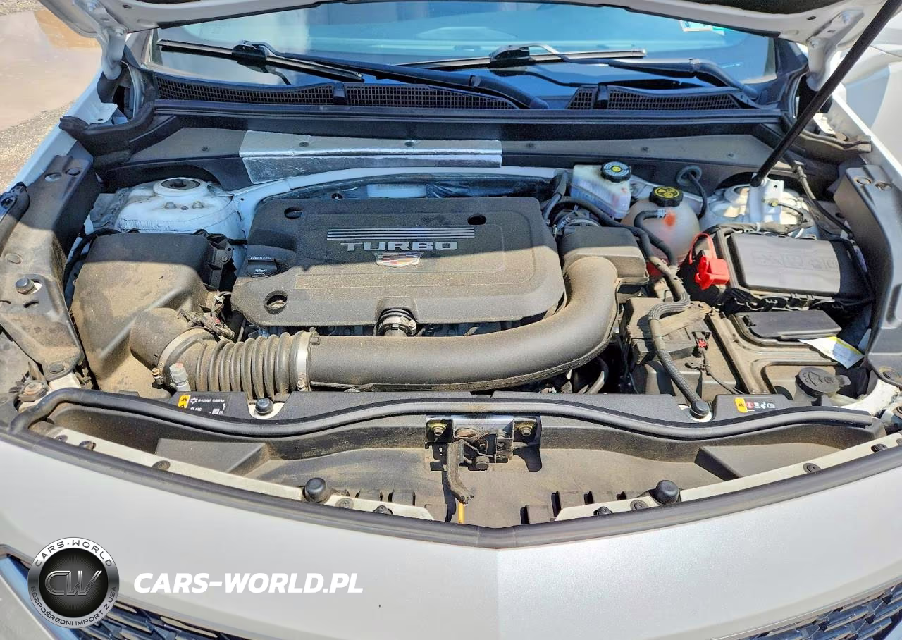 2020 Cadillac Xt4 Premium Luxury VIN:1GYFZDR4XLF005019 - 12
