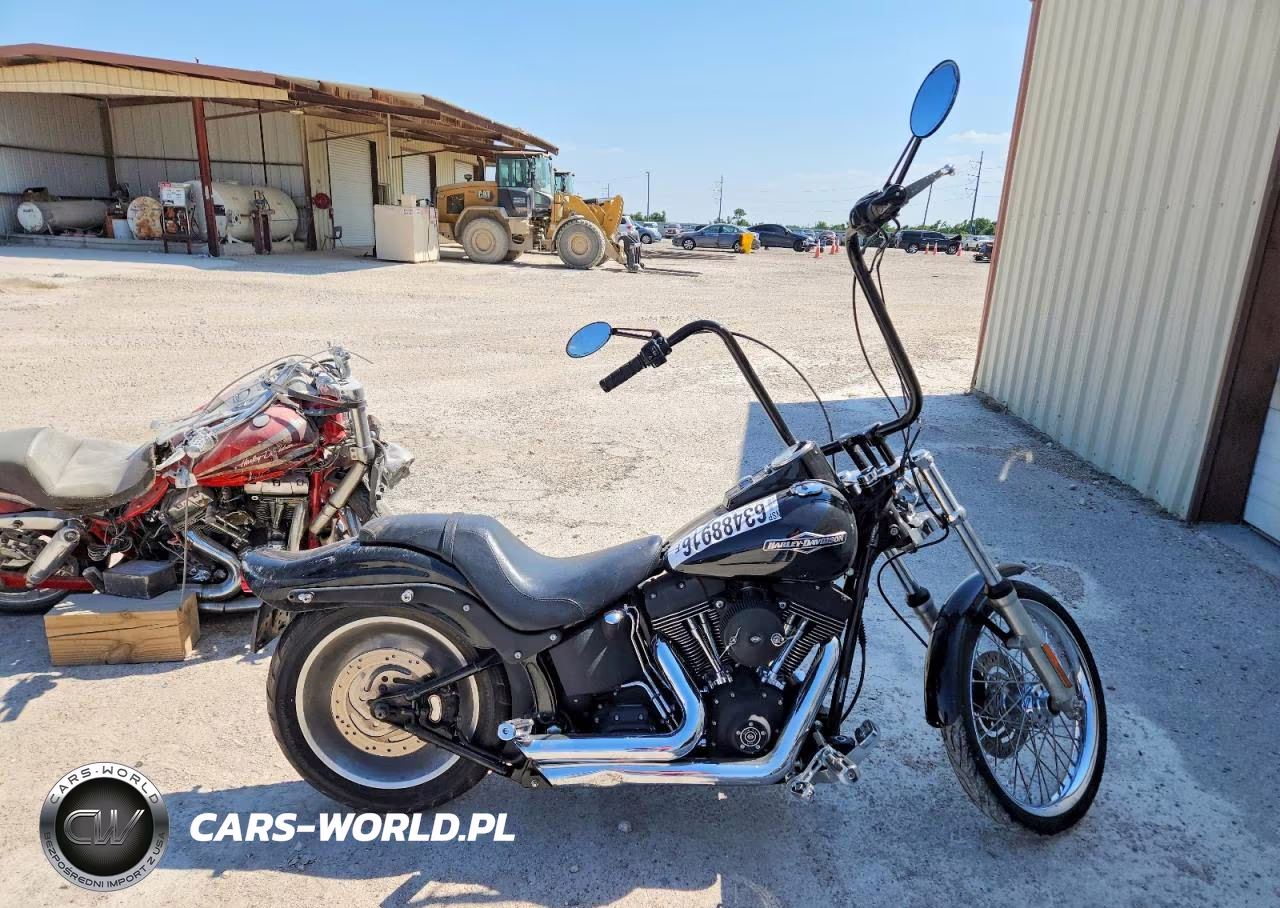 2006 Harley-Davidson Fxstbi