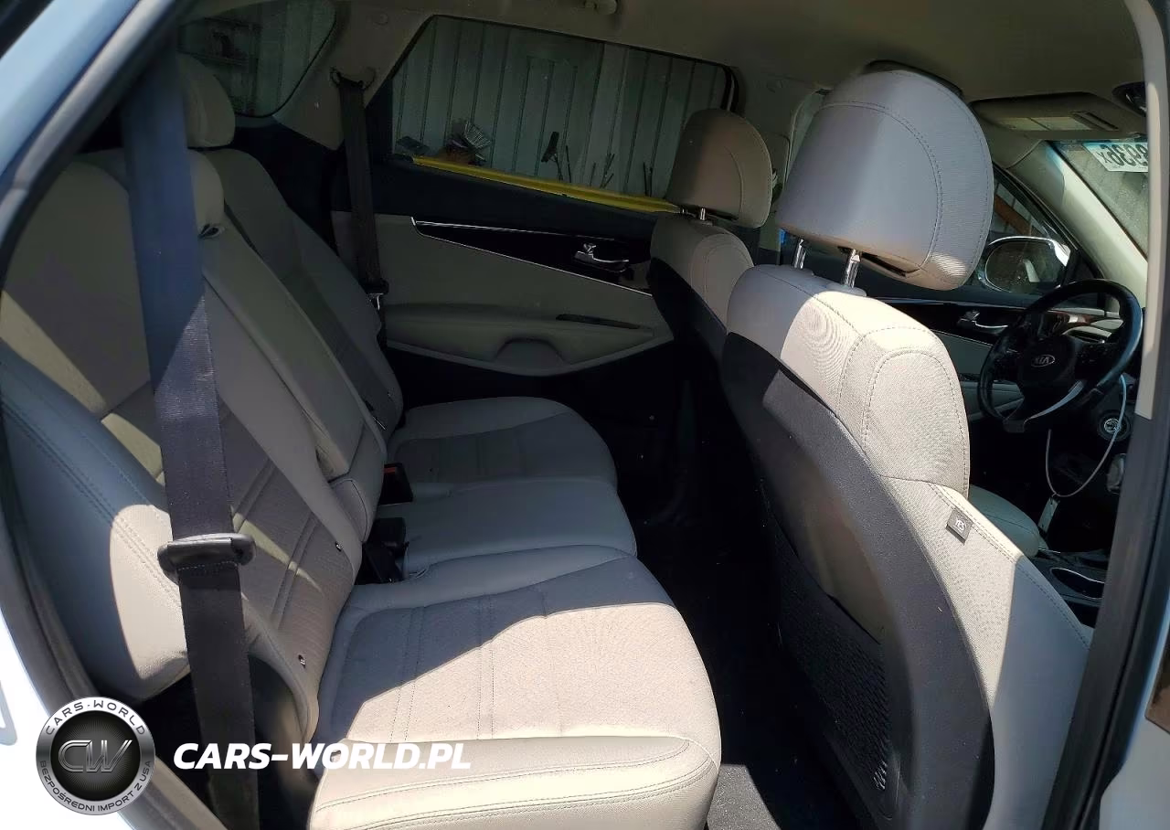 2017 Kia Sorento Lx VIN:5XYPGDA36HG231923 - 10