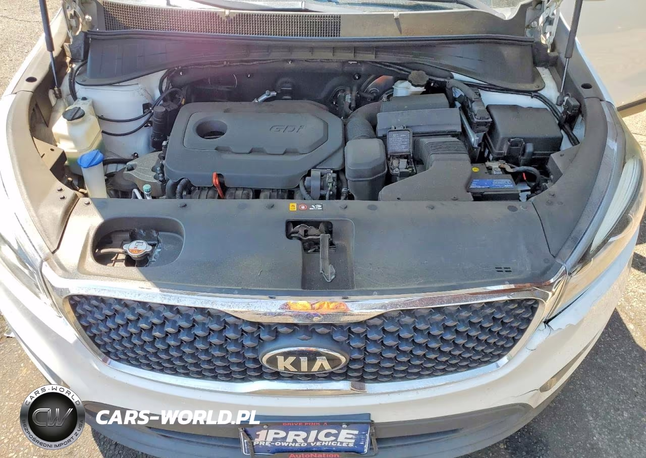 2017 Kia Sorento Lx VIN:5XYPGDA36HG231923 - 11