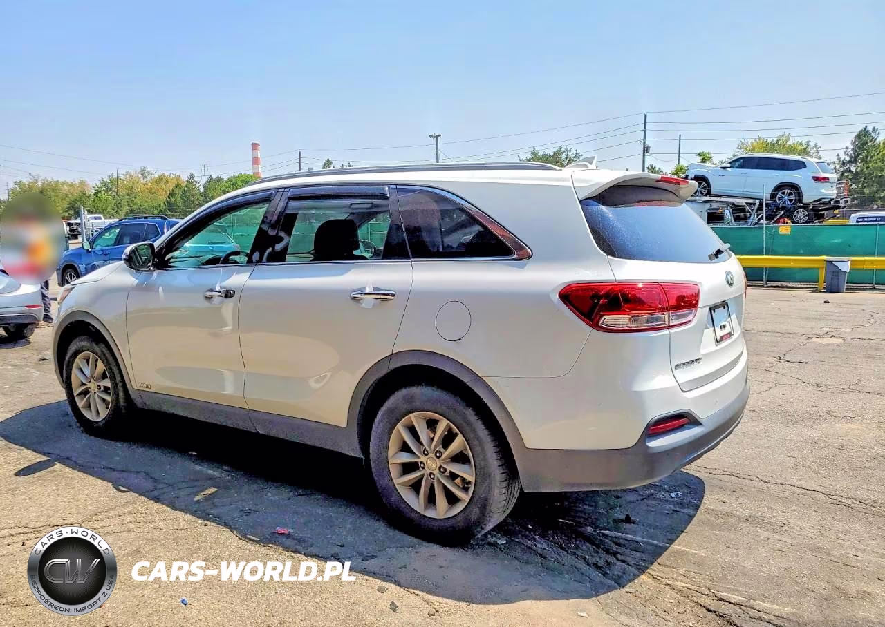 2017 Kia Sorento Lx VIN:5XYPGDA36HG231923 - 2