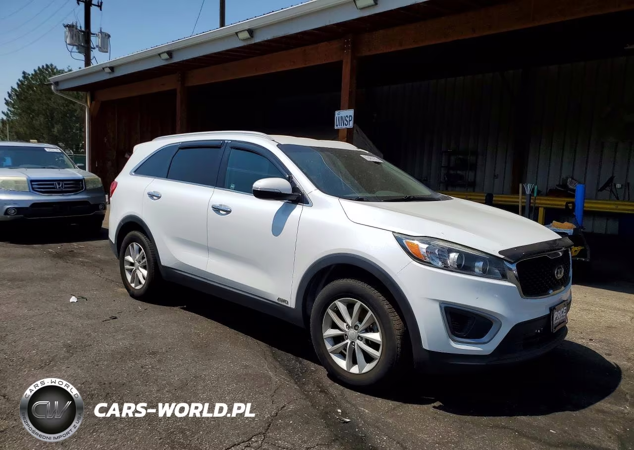 2017 Kia Sorento Lx VIN:5XYPGDA36HG231923 - 4