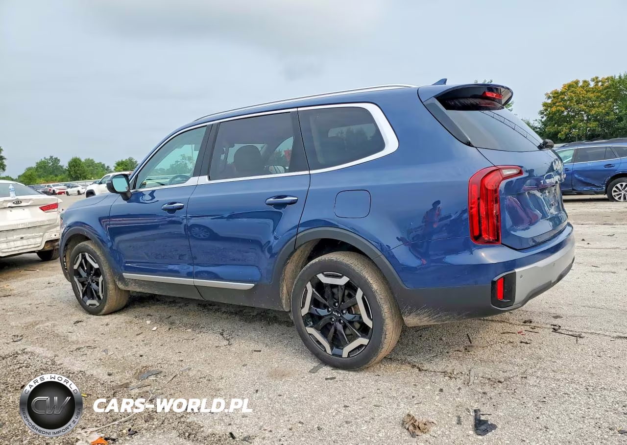2023 Kia Telluride S VIN:5XYP6DGC6PG337345 - 2