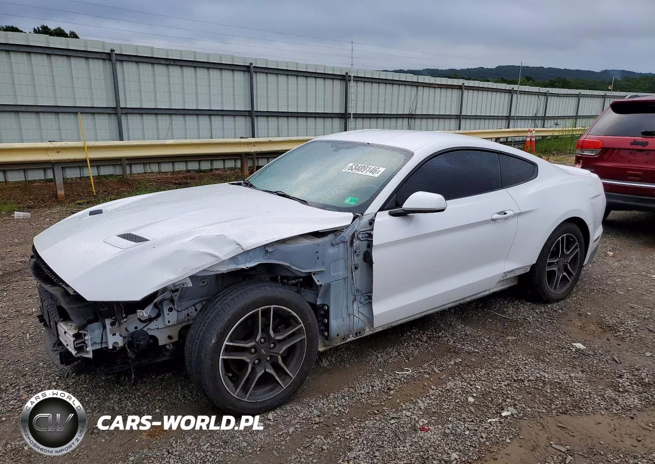 2019 Ford Mustang