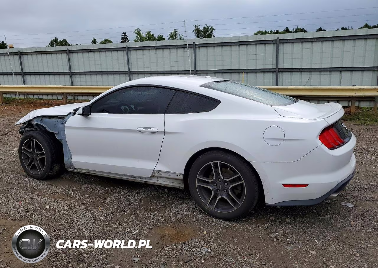 2019 Ford Mustang VIN:1FA6P8THXK5176359 - 2