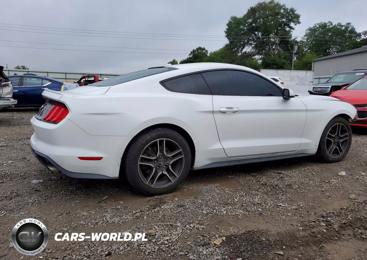 2019 Ford Mustang VIN:1FA6P8THXK5176359 - 3