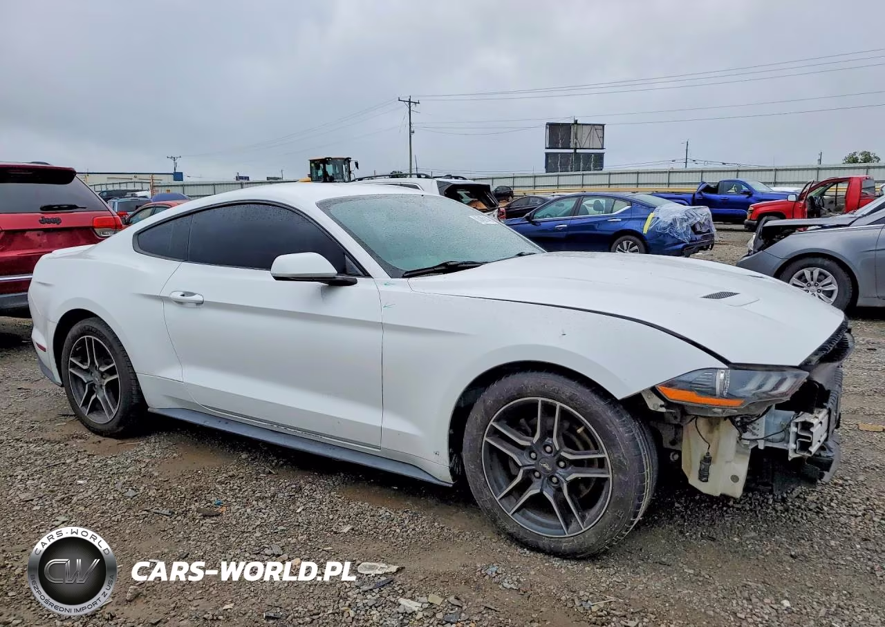 2019 Ford Mustang VIN:1FA6P8THXK5176359 - 4