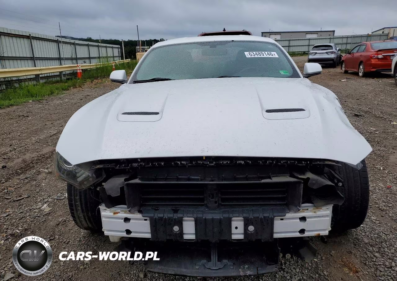2019 Ford Mustang VIN:1FA6P8THXK5176359 - 5