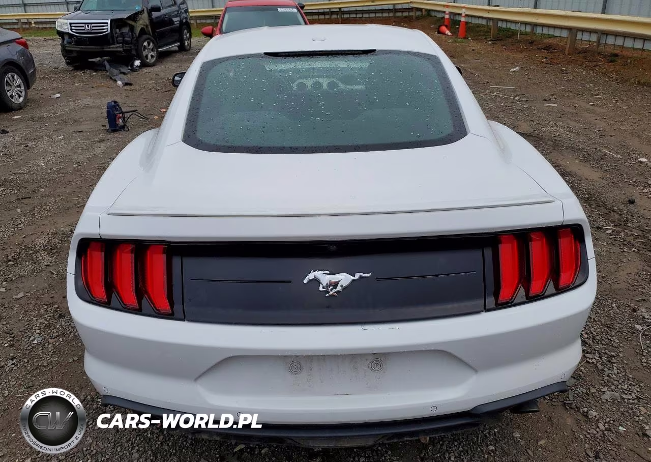 2019 Ford Mustang VIN:1FA6P8THXK5176359 - 6