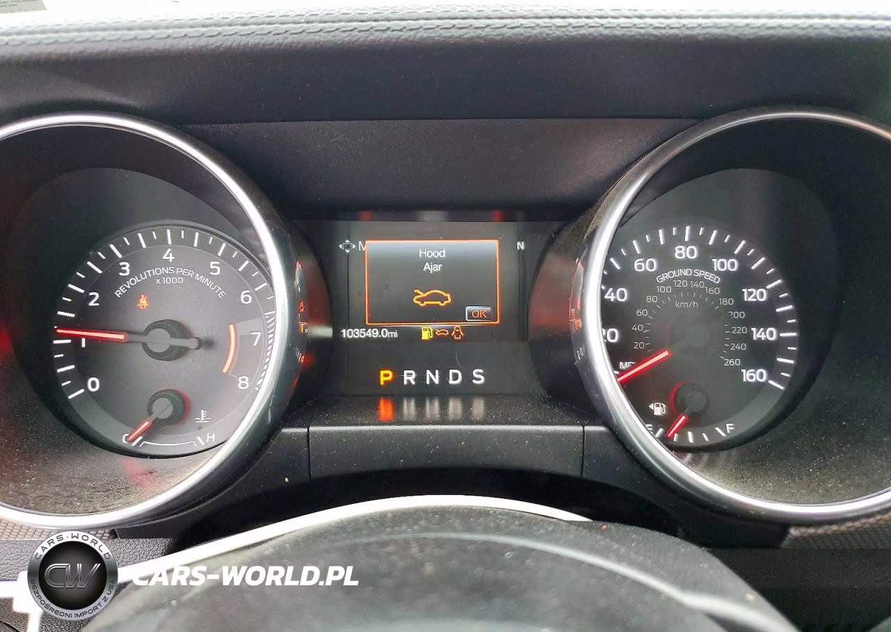 2019 Ford Mustang VIN:1FA6P8THXK5176359 - 9