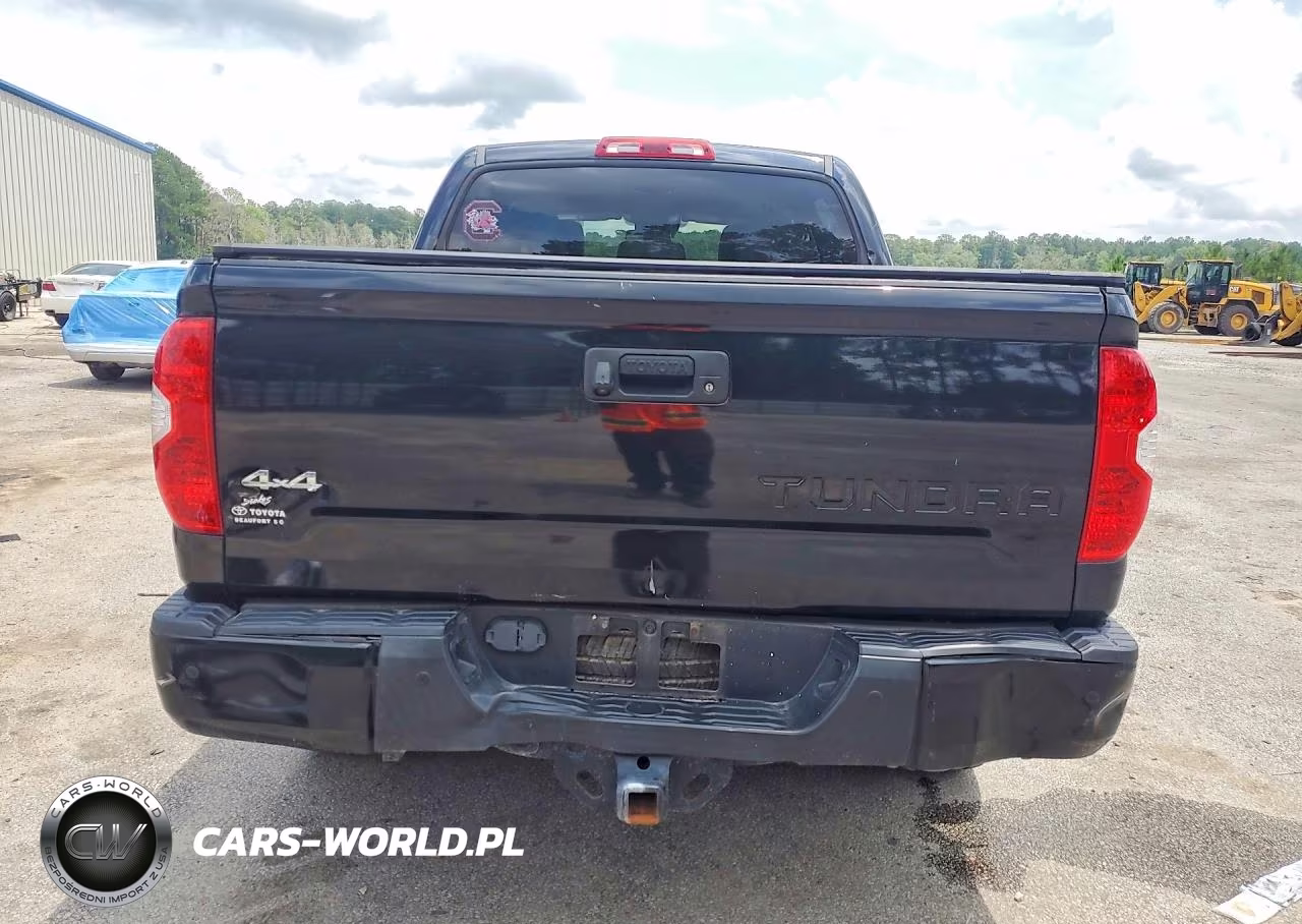 2019 Toyota Tundra Crewmax Limited VIN:5TFHY5F15KX788955 - 6