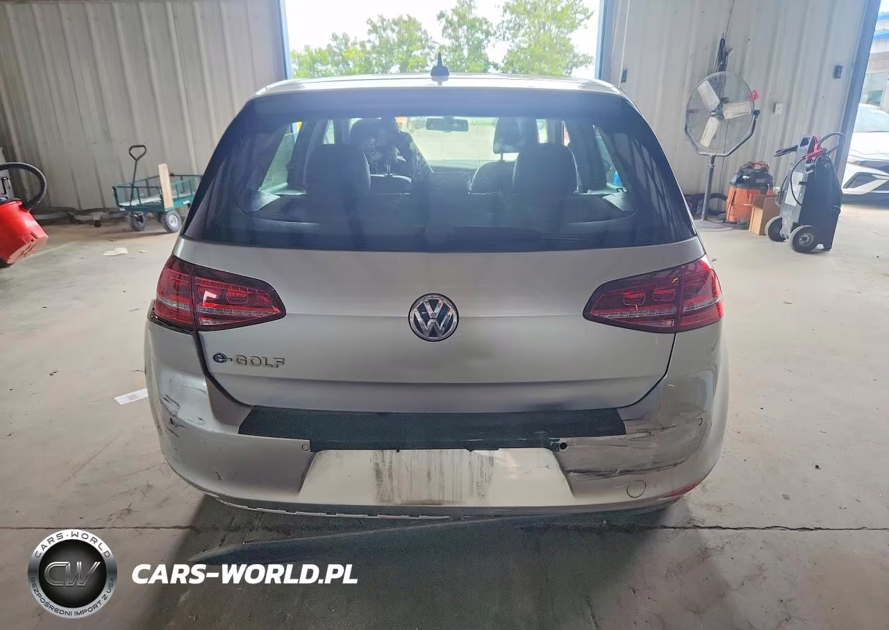 2016 Volkswagen E-Golf Sel Premium VIN:WVWPP7AU3GW904324 - 6