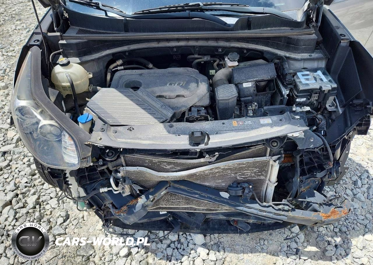 2020 Kia Sportage Lx VIN:KNDPM3AC6L7736823 - 12