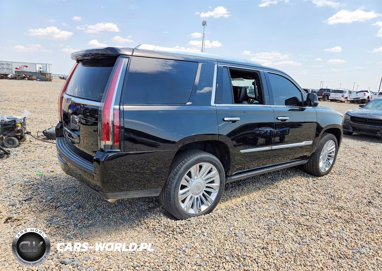 2018 Cadillac Escalade Platinum VIN:1GYS4DKJ3JR301881 - 3