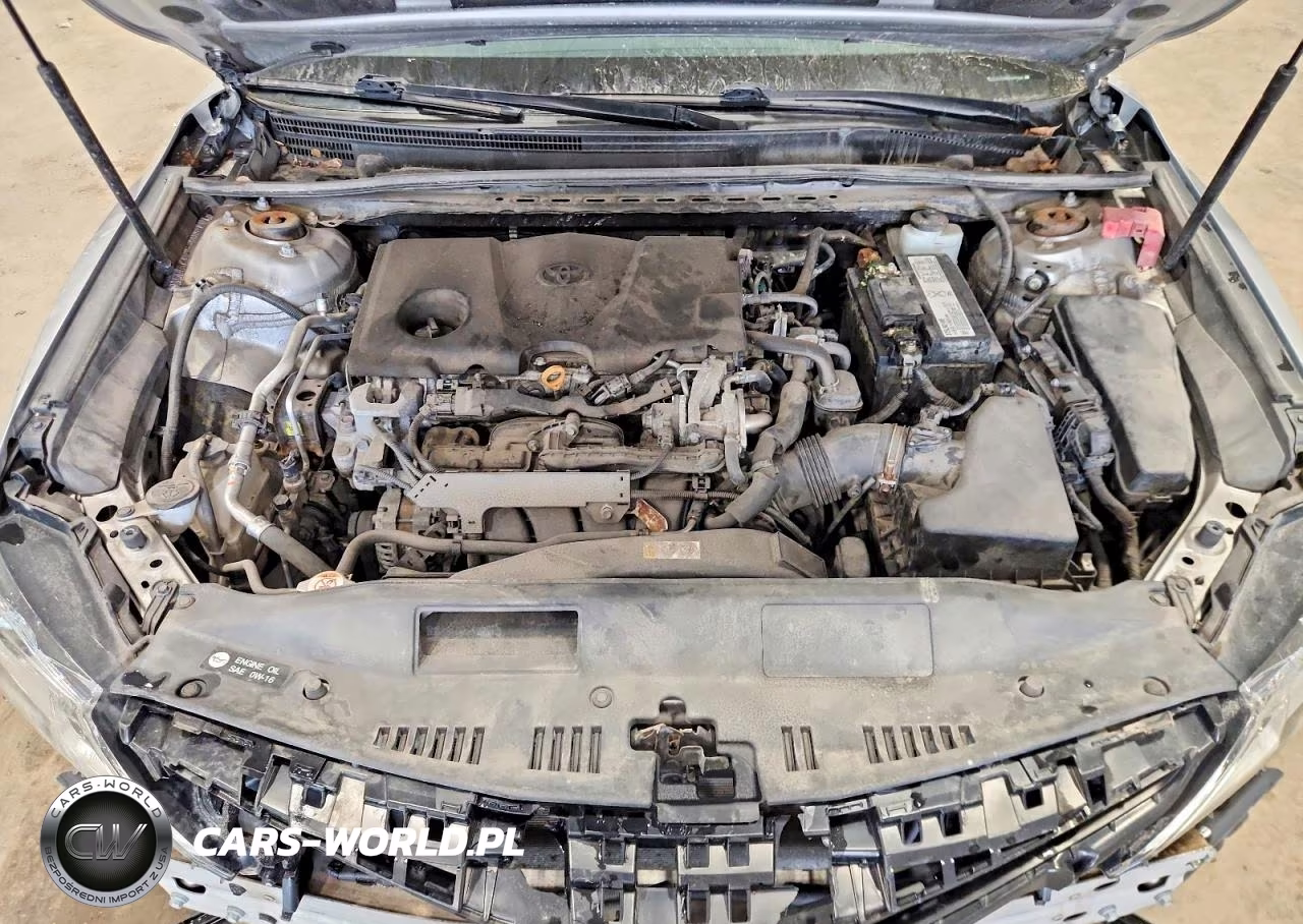 2019 Toyota Camry Se VIN:4T1B11HK9KU254928 - 11