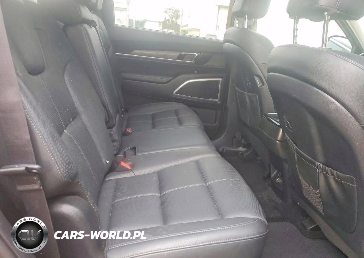 2020 Kia Telluride Ex VIN:5XYP34HC9LG001318 - 11