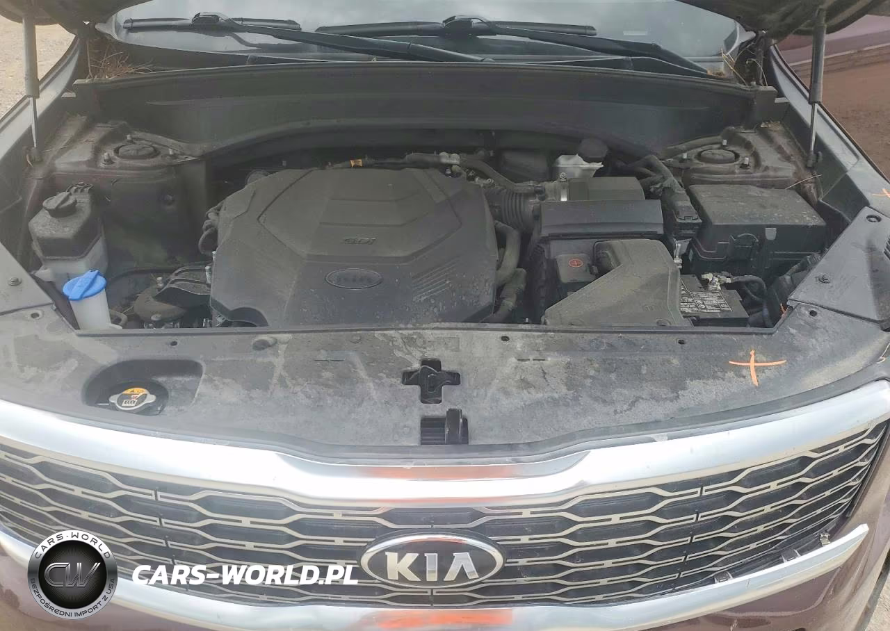 2020 Kia Telluride Ex VIN:5XYP34HC9LG001318 - 12