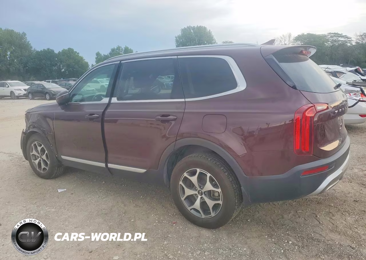 2020 Kia Telluride Ex VIN:5XYP34HC9LG001318 - 2