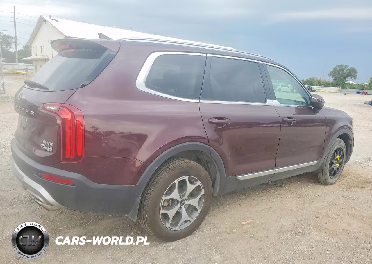 2020 Kia Telluride Ex VIN:5XYP34HC9LG001318 - 3