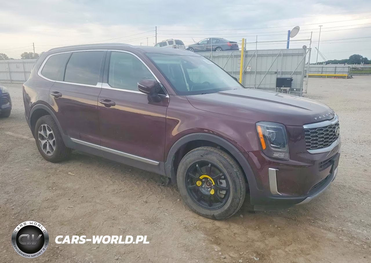2020 Kia Telluride Ex VIN:5XYP34HC9LG001318 - 4