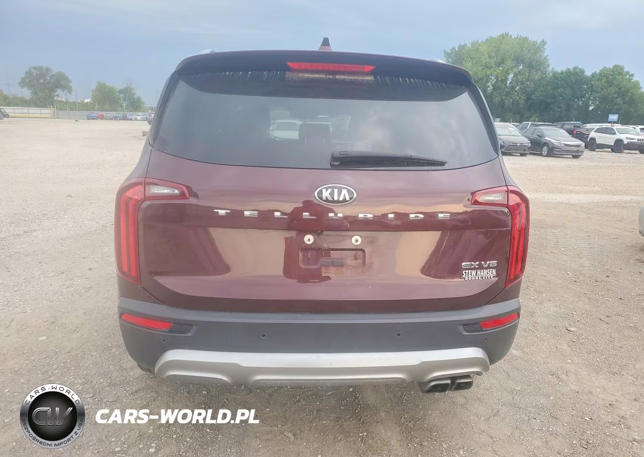 2020 Kia Telluride Ex VIN:5XYP34HC9LG001318 - 6