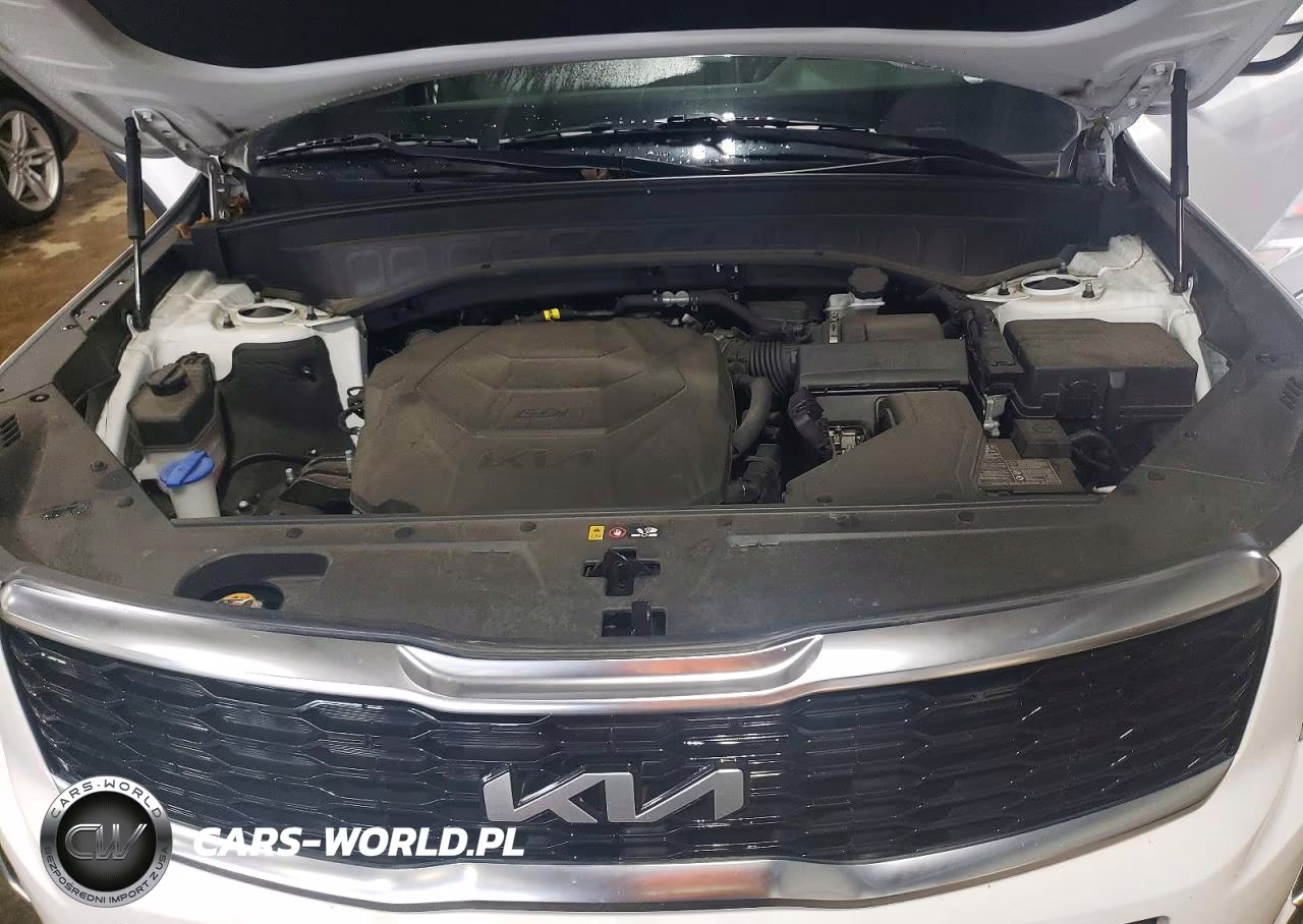 2022 Kia Telluride S VIN:5XYP6DHC9NG196167 - 12