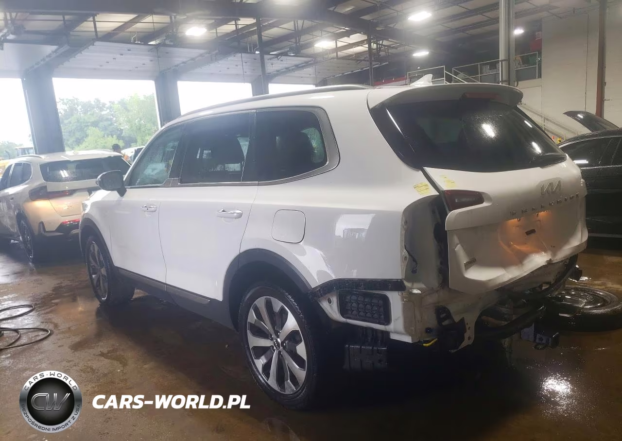 2022 Kia Telluride S VIN:5XYP6DHC9NG196167 - 2