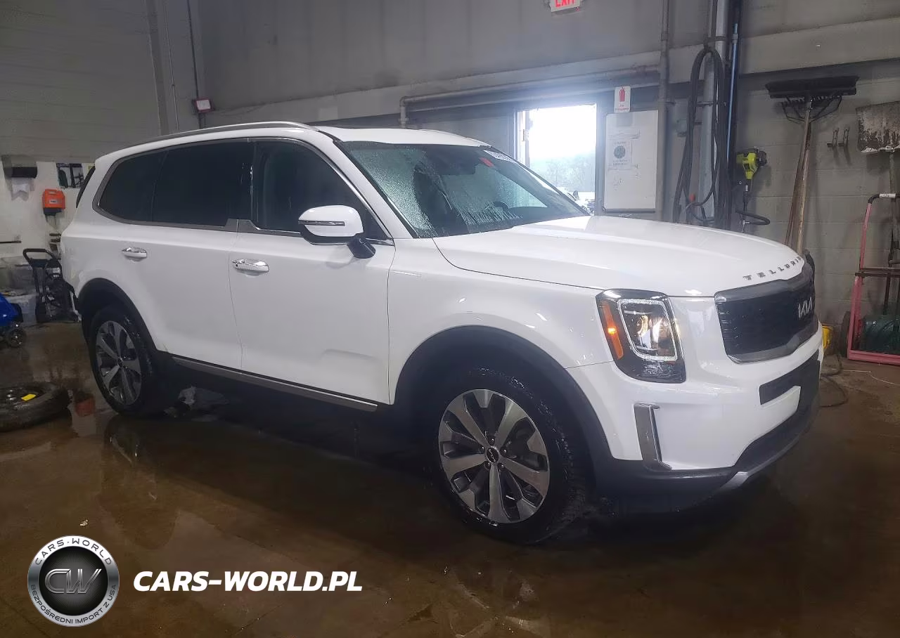 2022 Kia Telluride S VIN:5XYP6DHC9NG196167 - 4