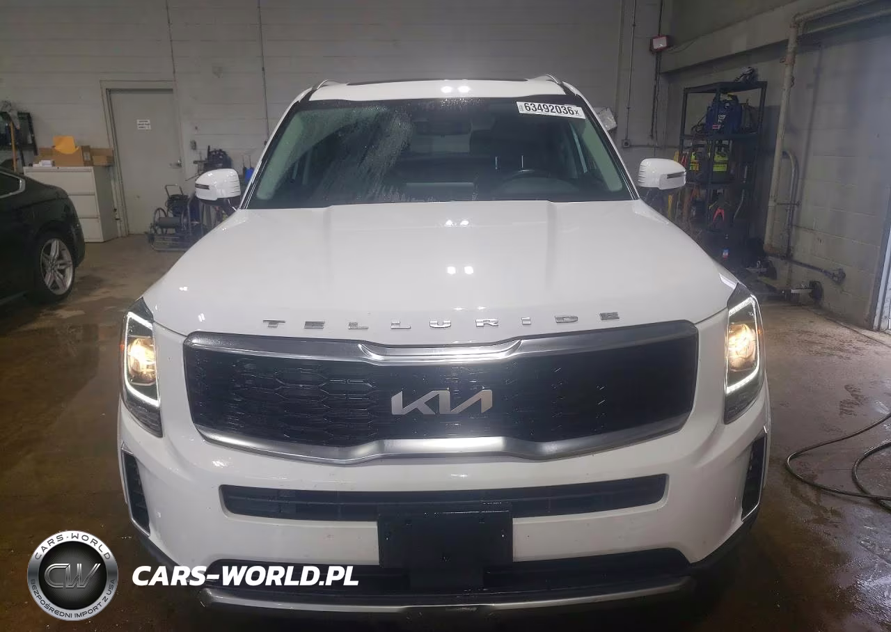 2022 Kia Telluride S VIN:5XYP6DHC9NG196167 - 5
