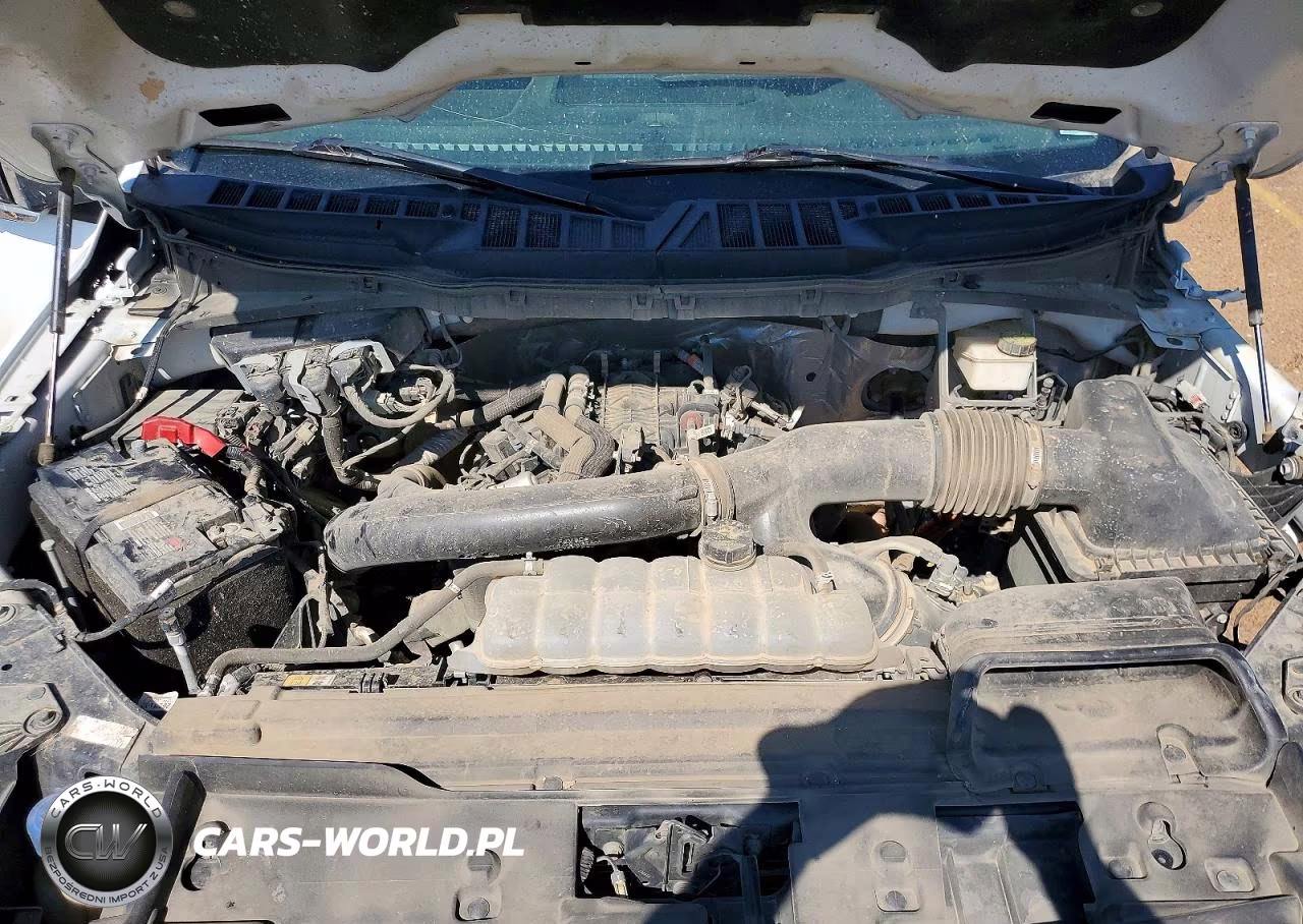 2024 Ford F150 Xlt VIN:1FTFW3L87RKE98226 - 11