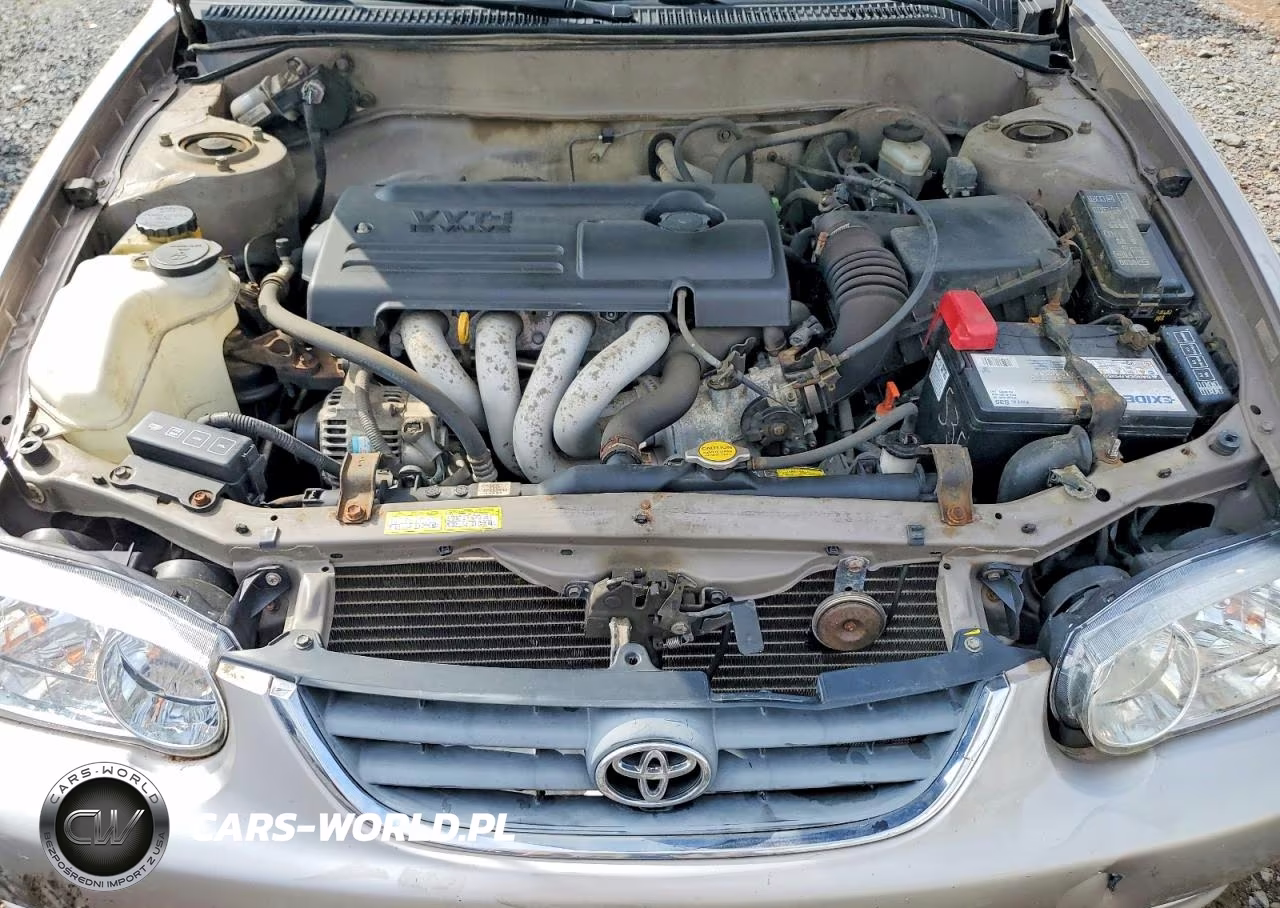 2001 Toyota Corolla Ce VIN:1NXBR12E31Z546259 - 11