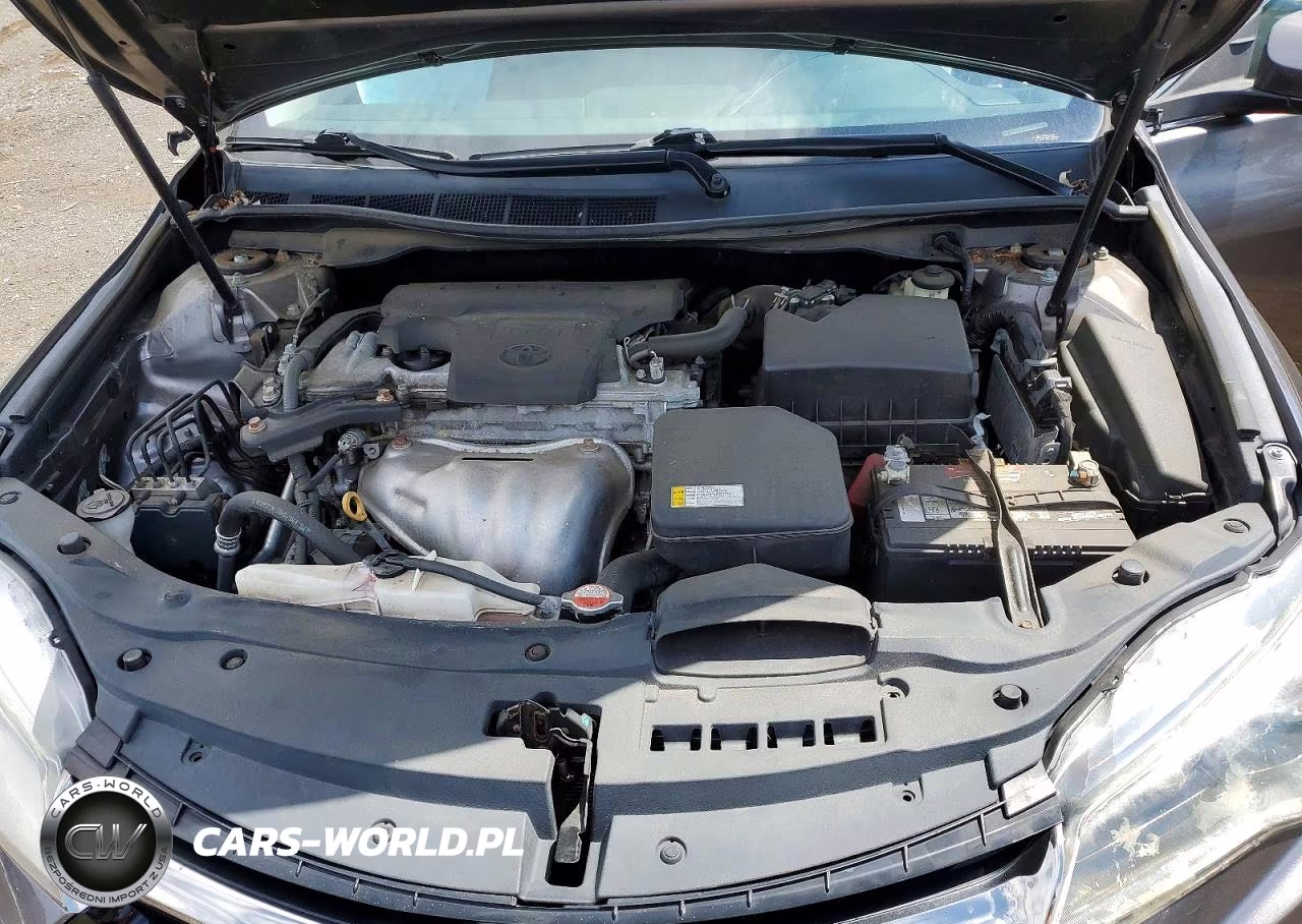 2016 Toyota Camry Se VIN:4T1BF1FK8GU209409 - 11