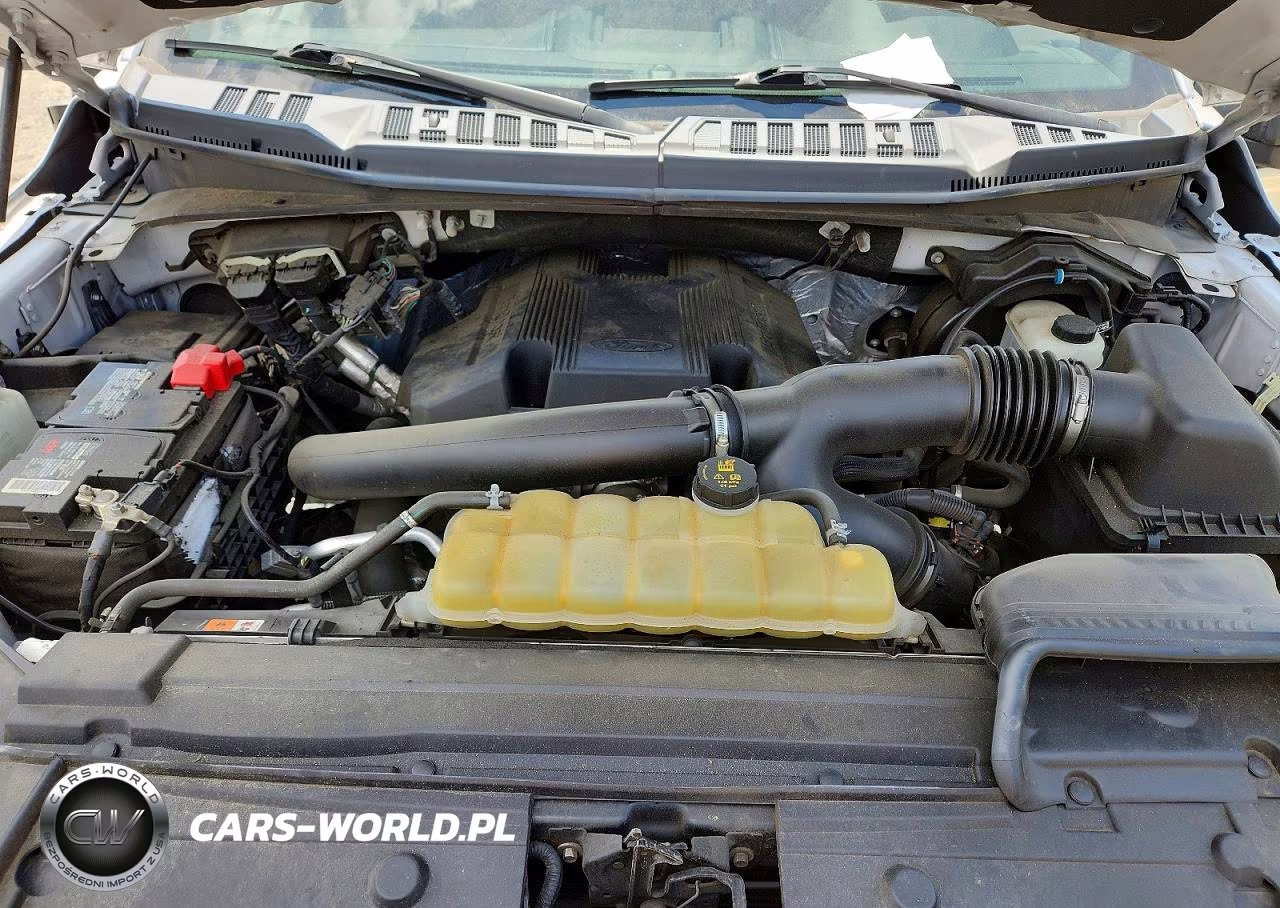 2019 Ford F150 Supercrew VIN:1FTEW1E40KFC53745 - 11