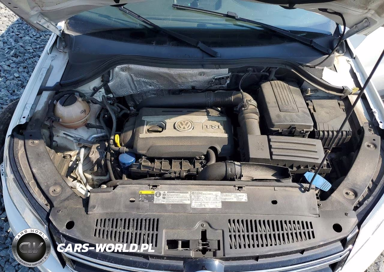 2014 Volkswagen Tiguan S VIN:WVGAV3AX1EW573623 - 12