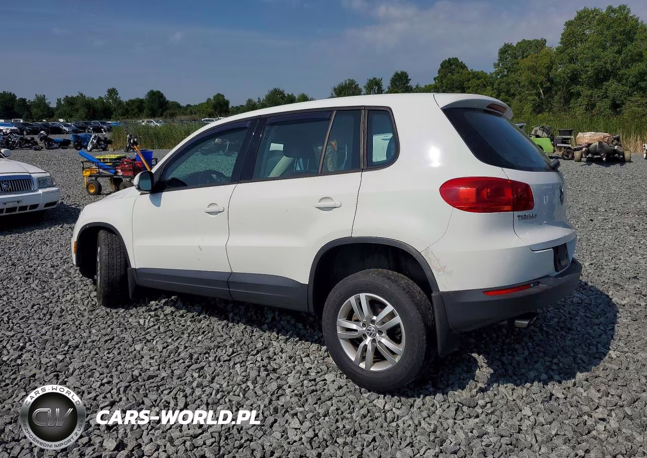 2014 Volkswagen Tiguan S VIN:WVGAV3AX1EW573623 - 2