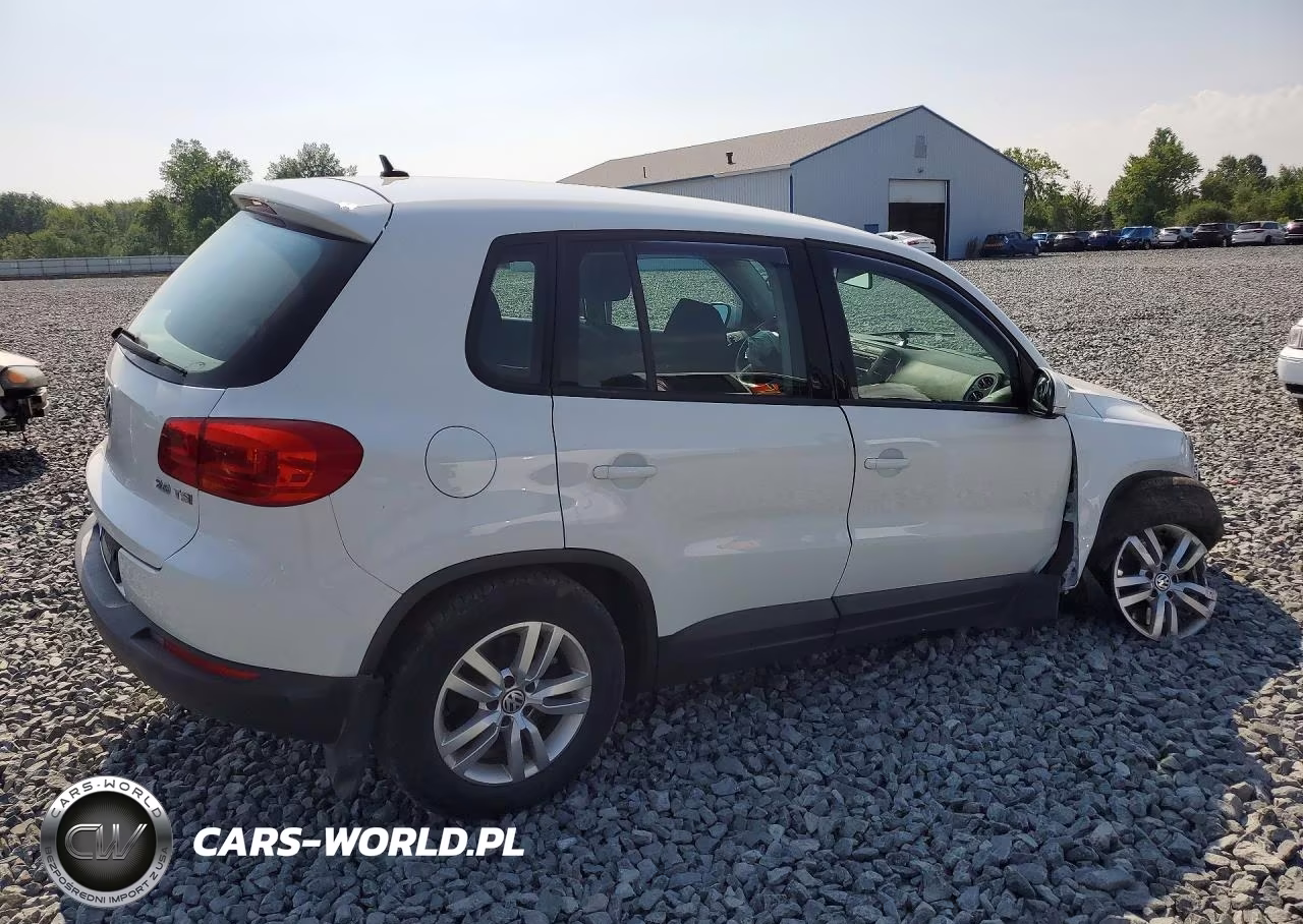 2014 Volkswagen Tiguan S VIN:WVGAV3AX1EW573623 - 3