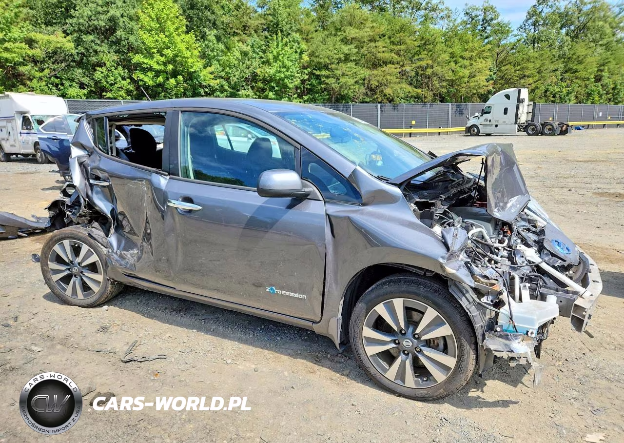 2016 Nissan Leaf Sv VIN:1N4BZ0CP2GC314142 - 4