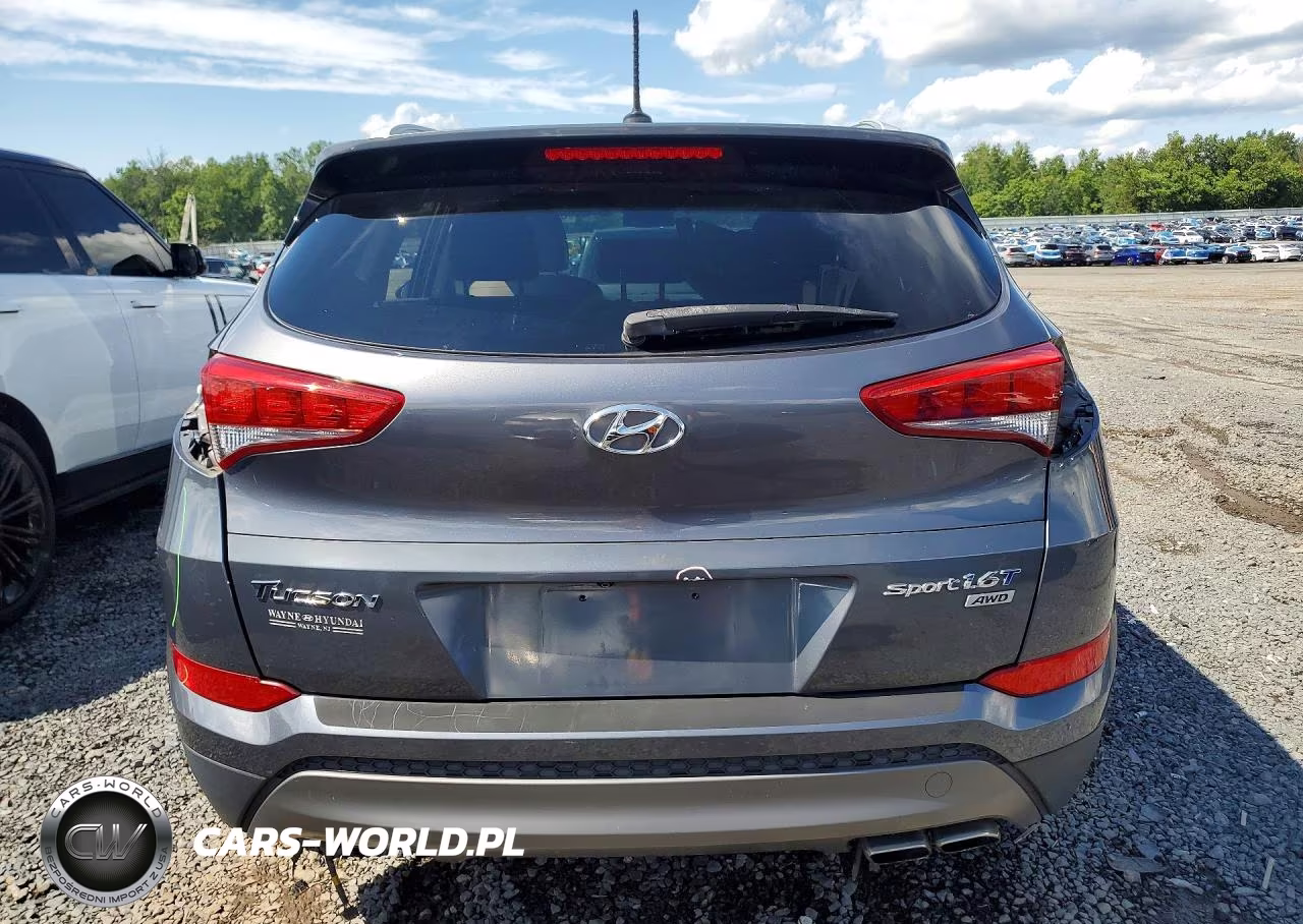 2016 Hyundai Tucson Sport VIN:KM8J3CA29GU248811 - 6
