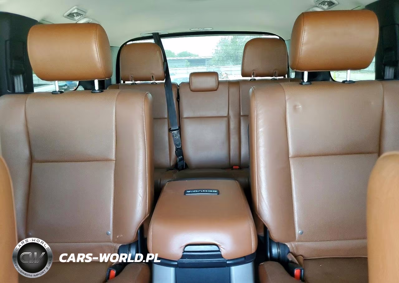 2020 Toyota Sequoia Platinum VIN:5TDDY5G18LS175135 - 10