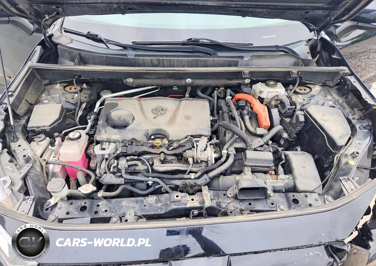 2019 Toyota Rav4 Hybrid Xle VIN:2T3RWRFV8KW013476 - 12