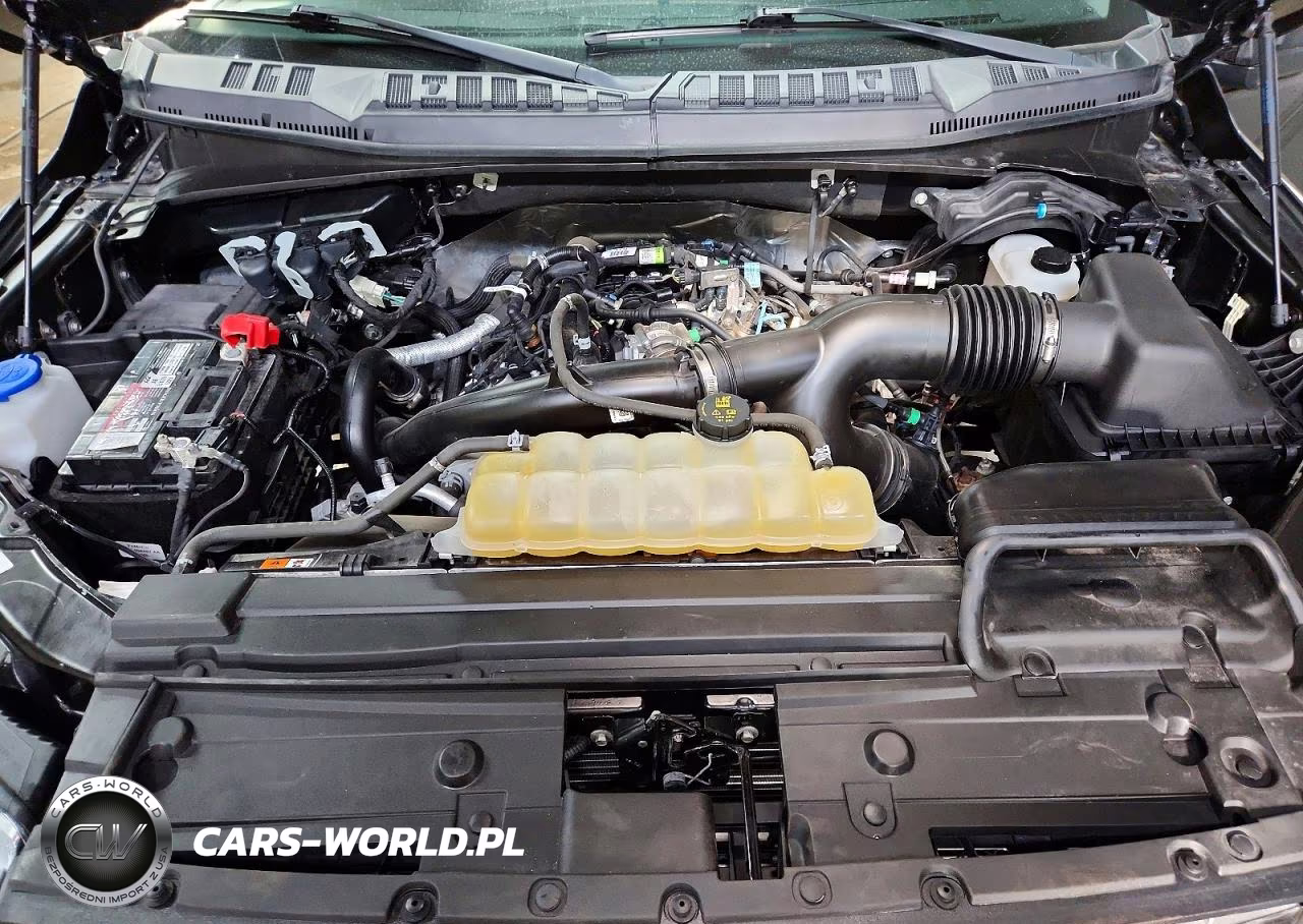 2020 Ford F150 Supercrew VIN:1FTEW1EP3LFC48146 - 11