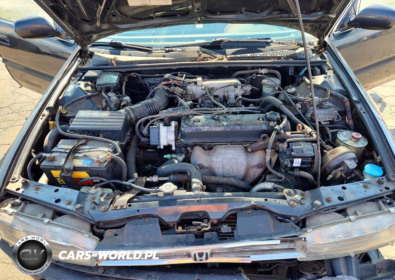 1993 Honda Accord Lx VIN:JHMCB7655PC016883 - 11