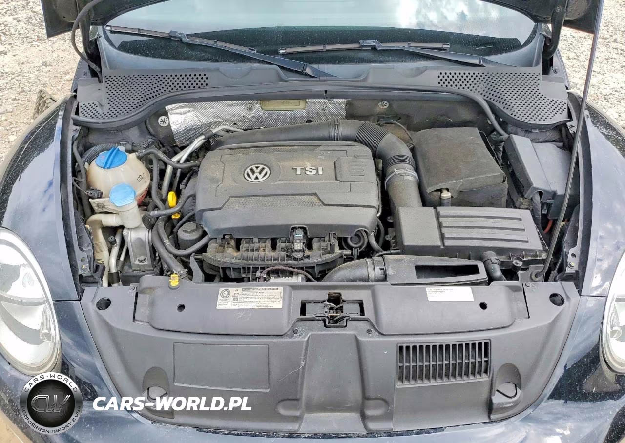 2014 Volkswagen Beetle Turbo VIN:3VWVT7ATXEM609841 - 11