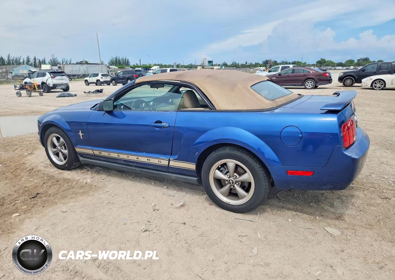 2006 Ford Mustang VIN:1ZVFT84N265247759 - 2