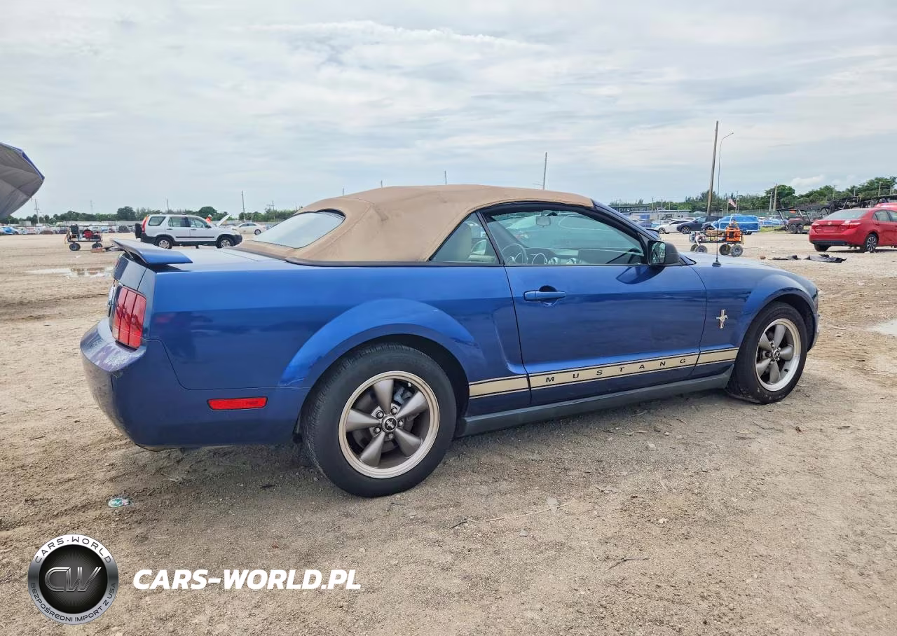 2006 Ford Mustang VIN:1ZVFT84N265247759 - 3