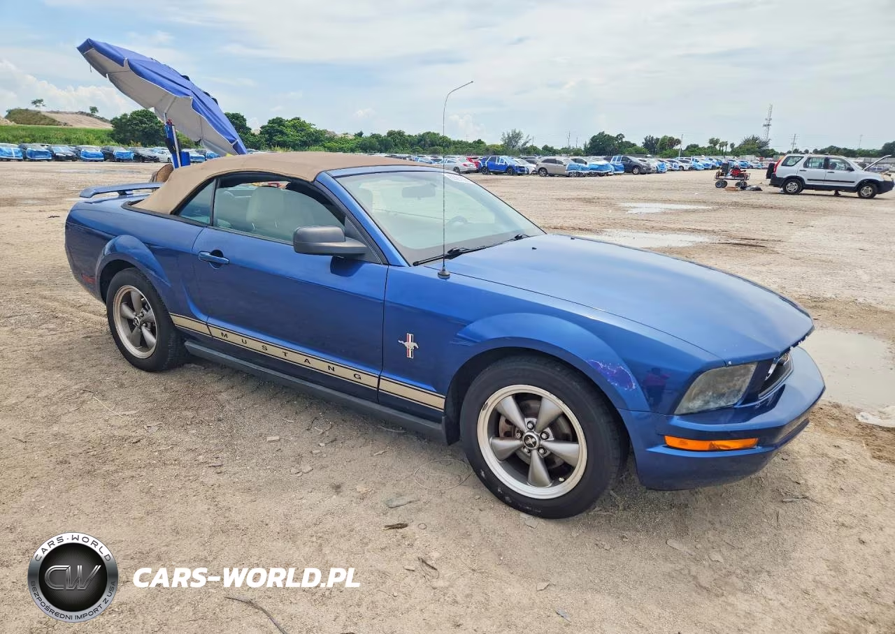 2006 Ford Mustang VIN:1ZVFT84N265247759 - 4