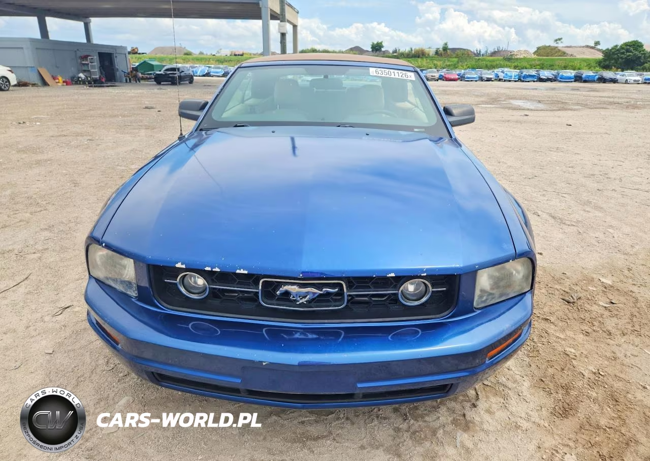 2006 Ford Mustang VIN:1ZVFT84N265247759 - 5