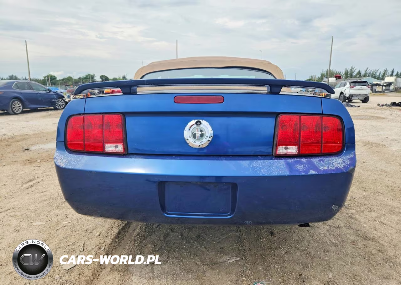 2006 Ford Mustang VIN:1ZVFT84N265247759 - 6