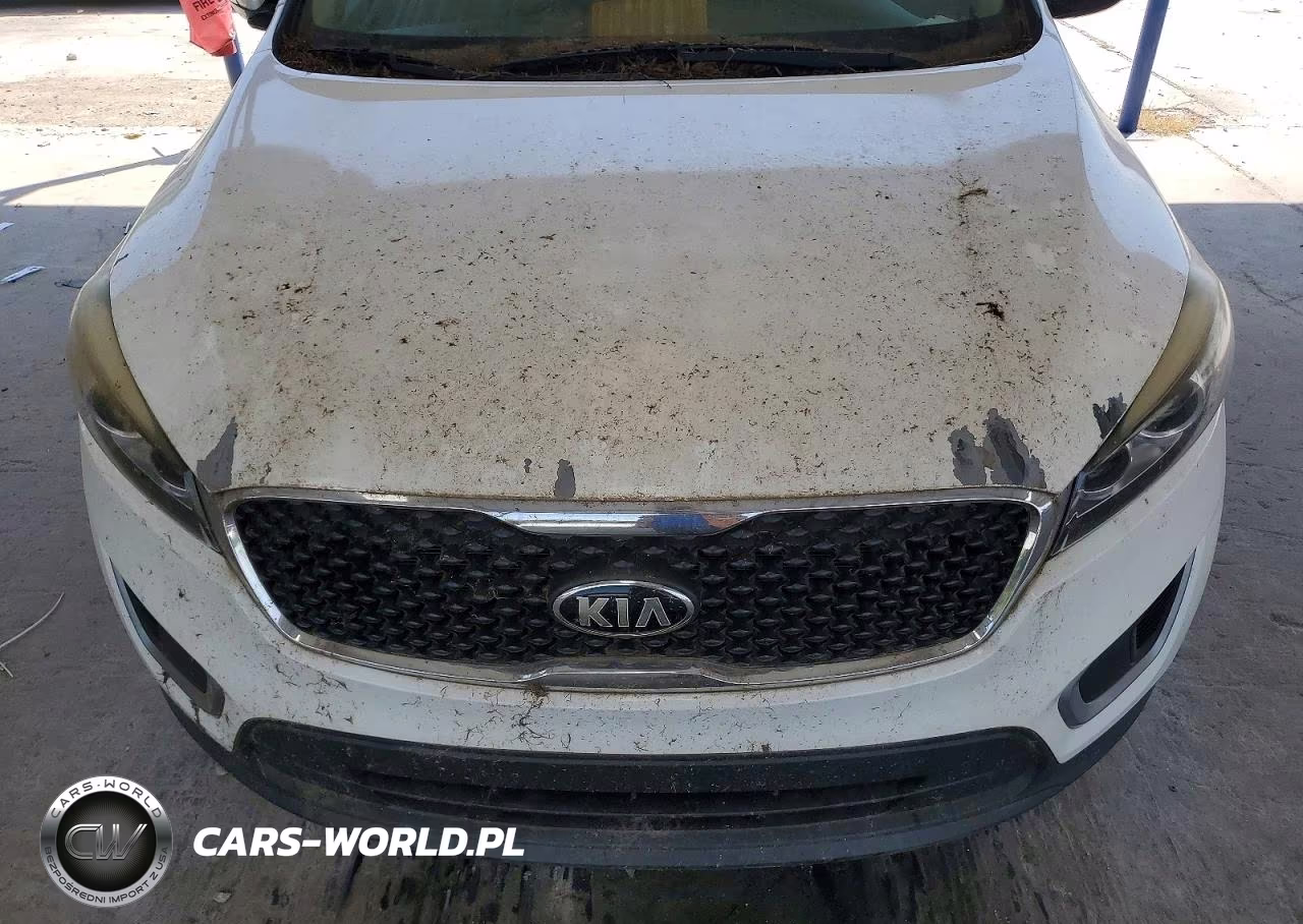 2016 Kia Sorento Lx VIN:5XYPG4A33GG017468 - 11